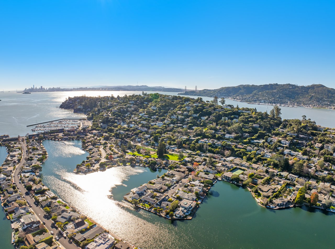 Stylish and Renovated Belvedere Beauty