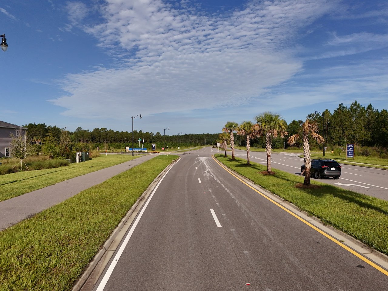 Residential community road lined with palm trees, sidewalks, and grassy verges.