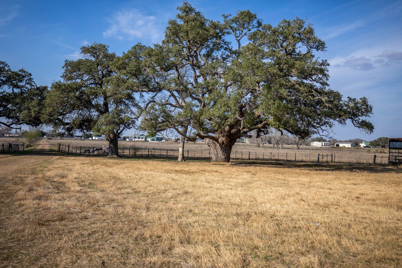 1019 Tulley Road | 45.86± Acres | Cuero, DeWitt County, TX