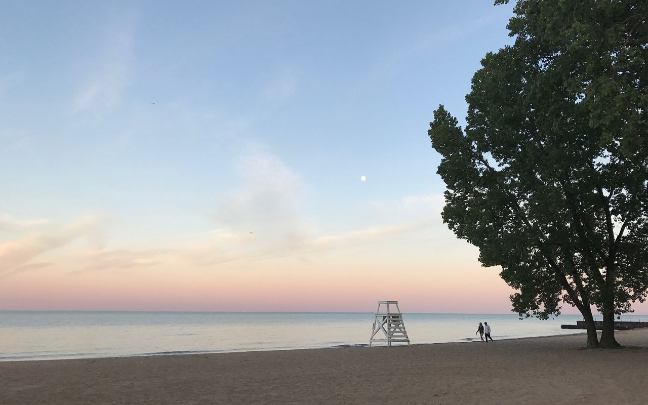 Rogers Park beach at dusk, with a lifeguard stand and a large tree beside Lake Michigan.