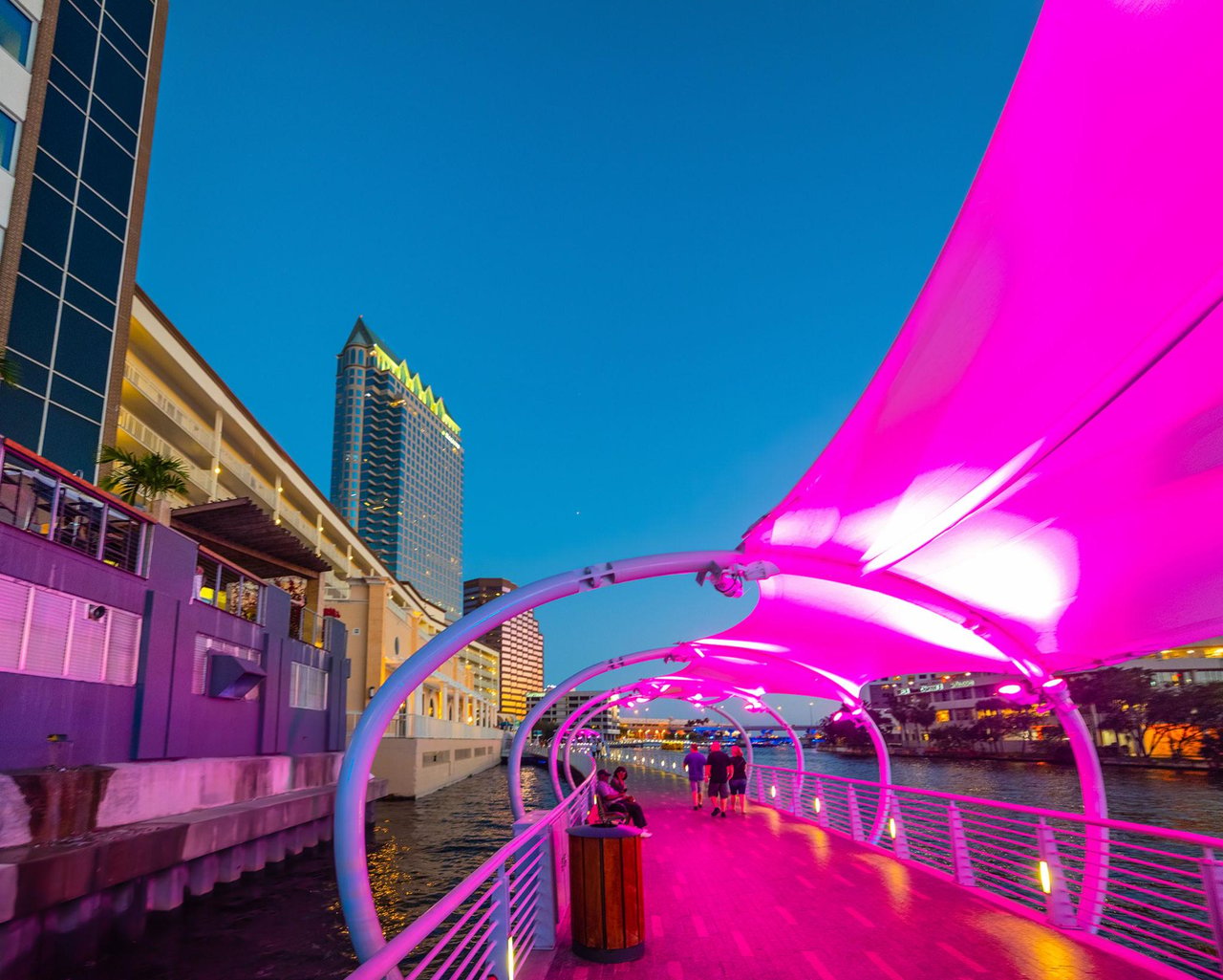 Your ultimate guide to weekend fun around Tampa bay 