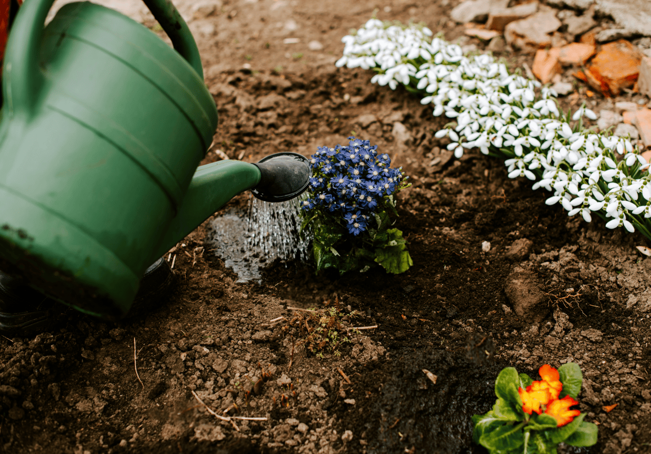 Curb Appeal Ideas That Work in Colorado's High-Desert Climate