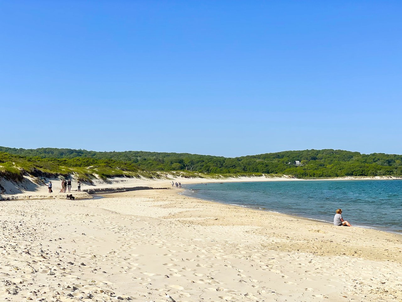 Image Form
