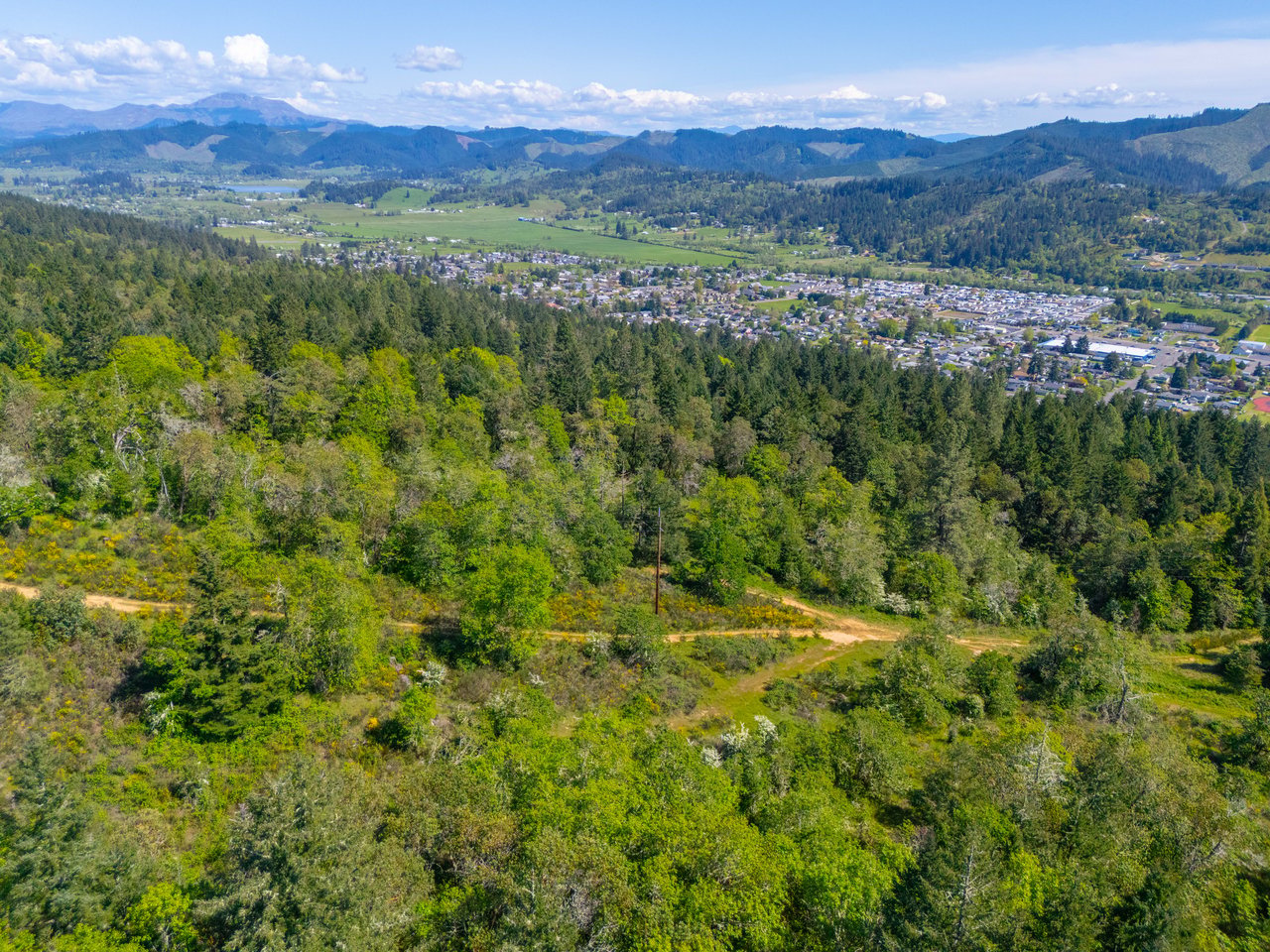SUTHERLIN HEIGHTS