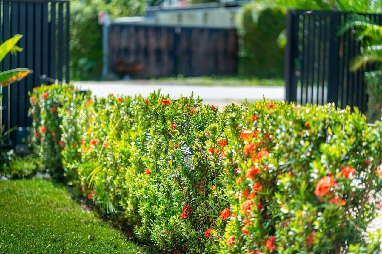 Modern 3 Bedroom Home - Walking distance to it all!