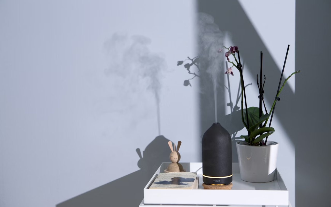 The Importance of Indoor Air Quality in Home Improvements