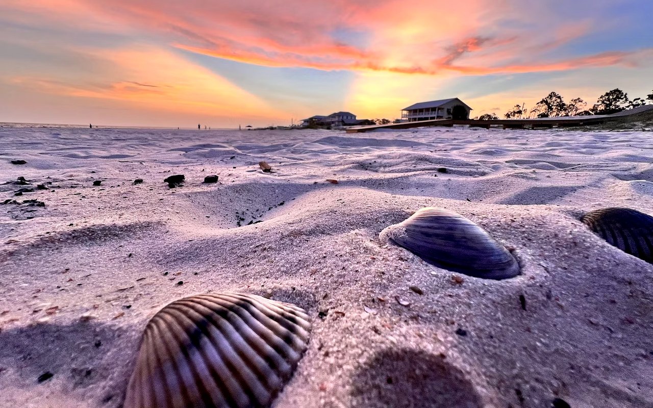 Top Things to Do in Port St. Joe