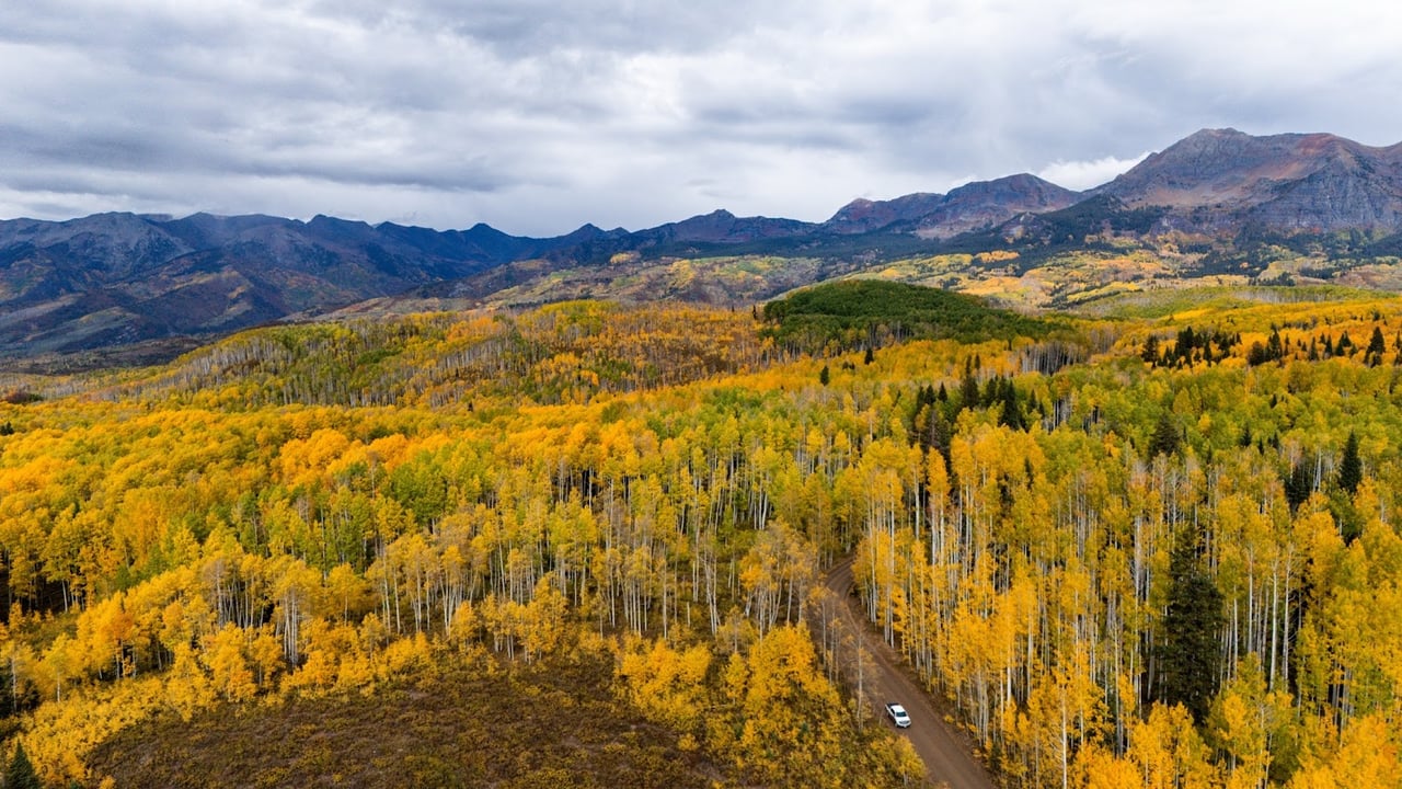 Kebler Pass in the Fall: Colorado’s Golden Wonderland