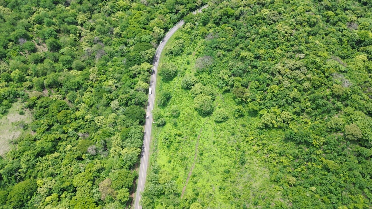 MAIN ROAD PARCEL - COYOLITO 