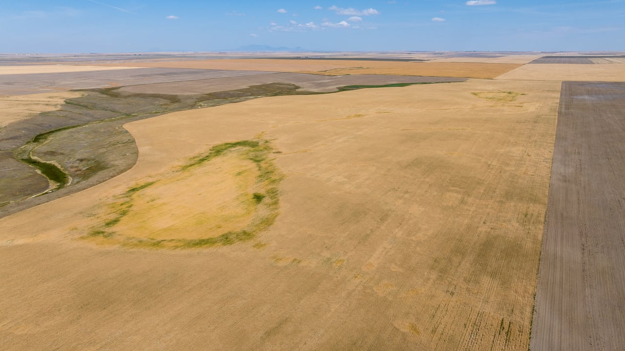 Hill County Organic & CRP Farm