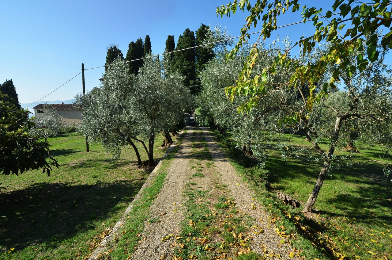 Modern Florence Country Estate With Olive Grove
