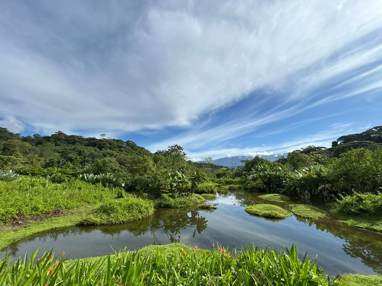 60 Acre Fully Sustainable and Impactful Conservation Initiative Near Golfito