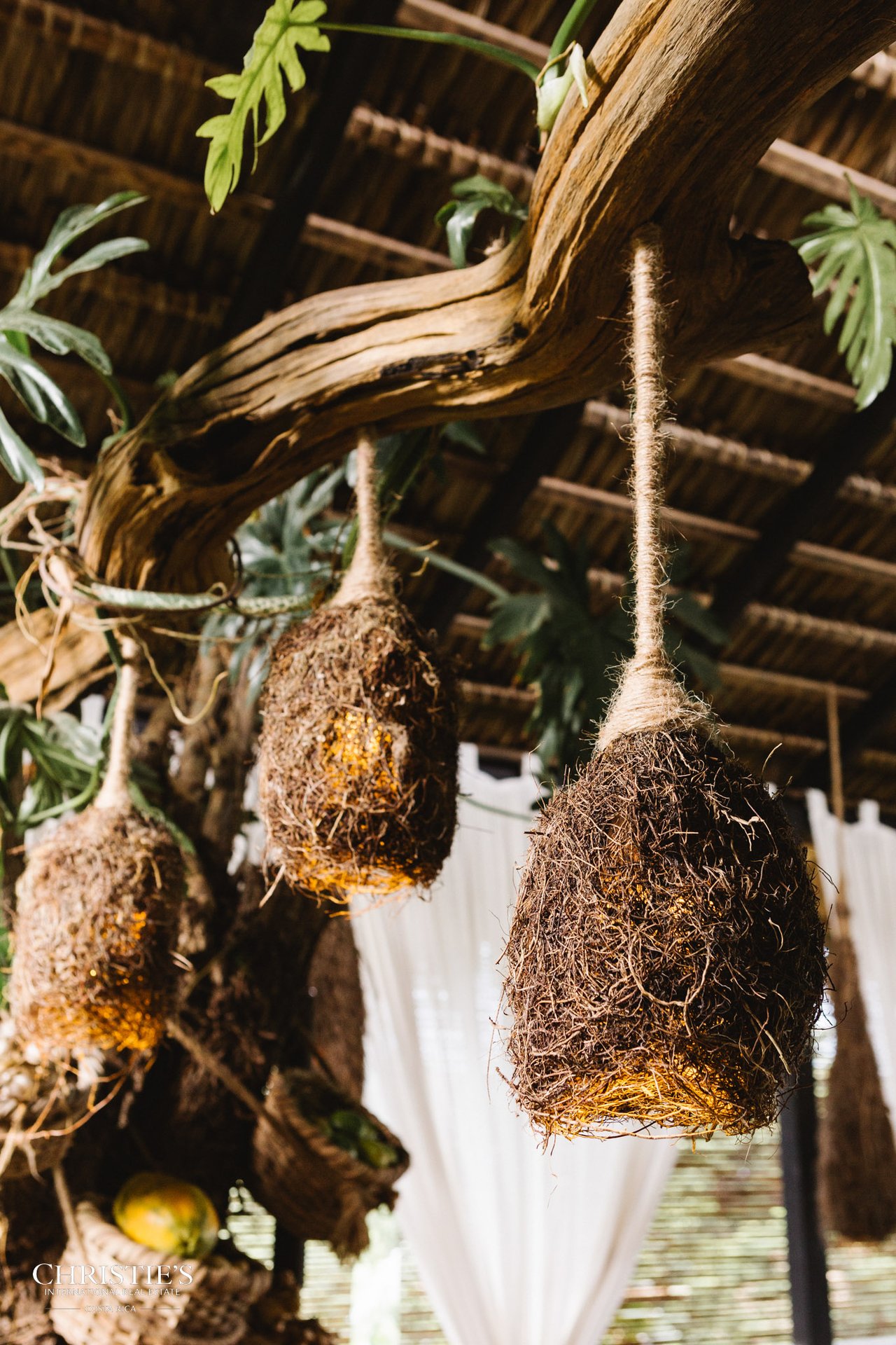 Villa Animales – Luxury Jungle Sanctuary