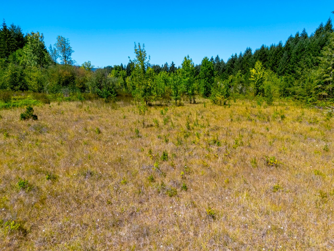 Coast Fork Woodland Meadows