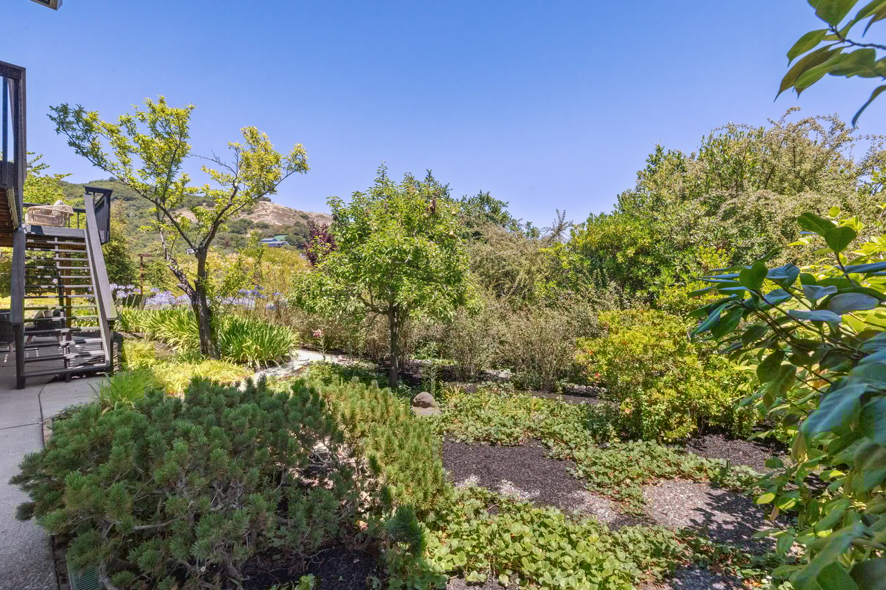 50 Balboa Ave