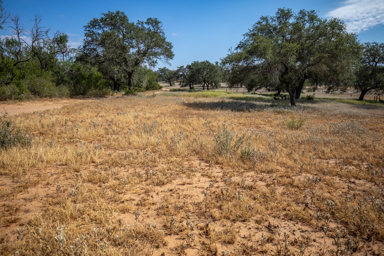 Oaks, Wildlife, & the Quiet of the Countryside | 26.99± Acres | Poteet, TX