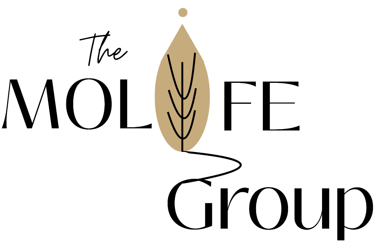 Footer Image