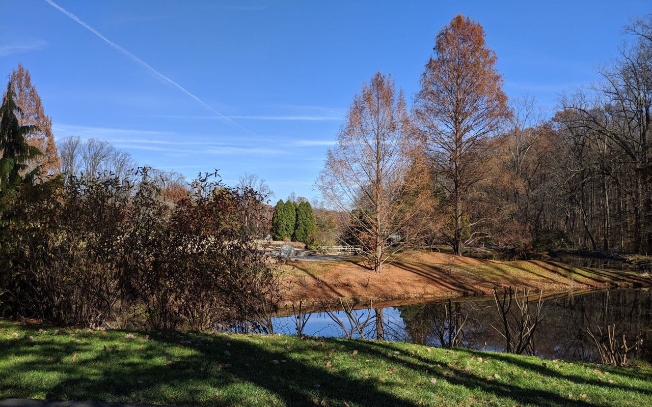 Silver Springs