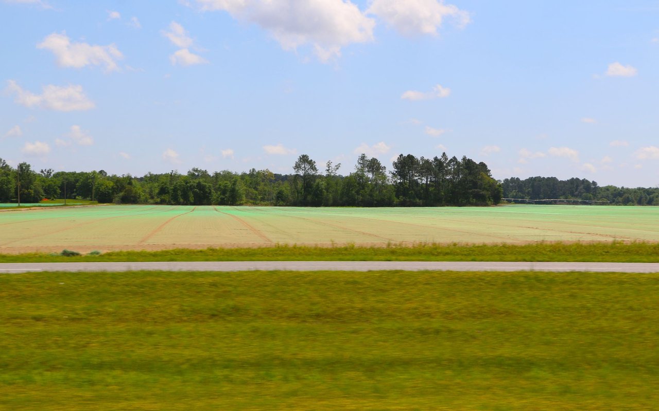 Winfield