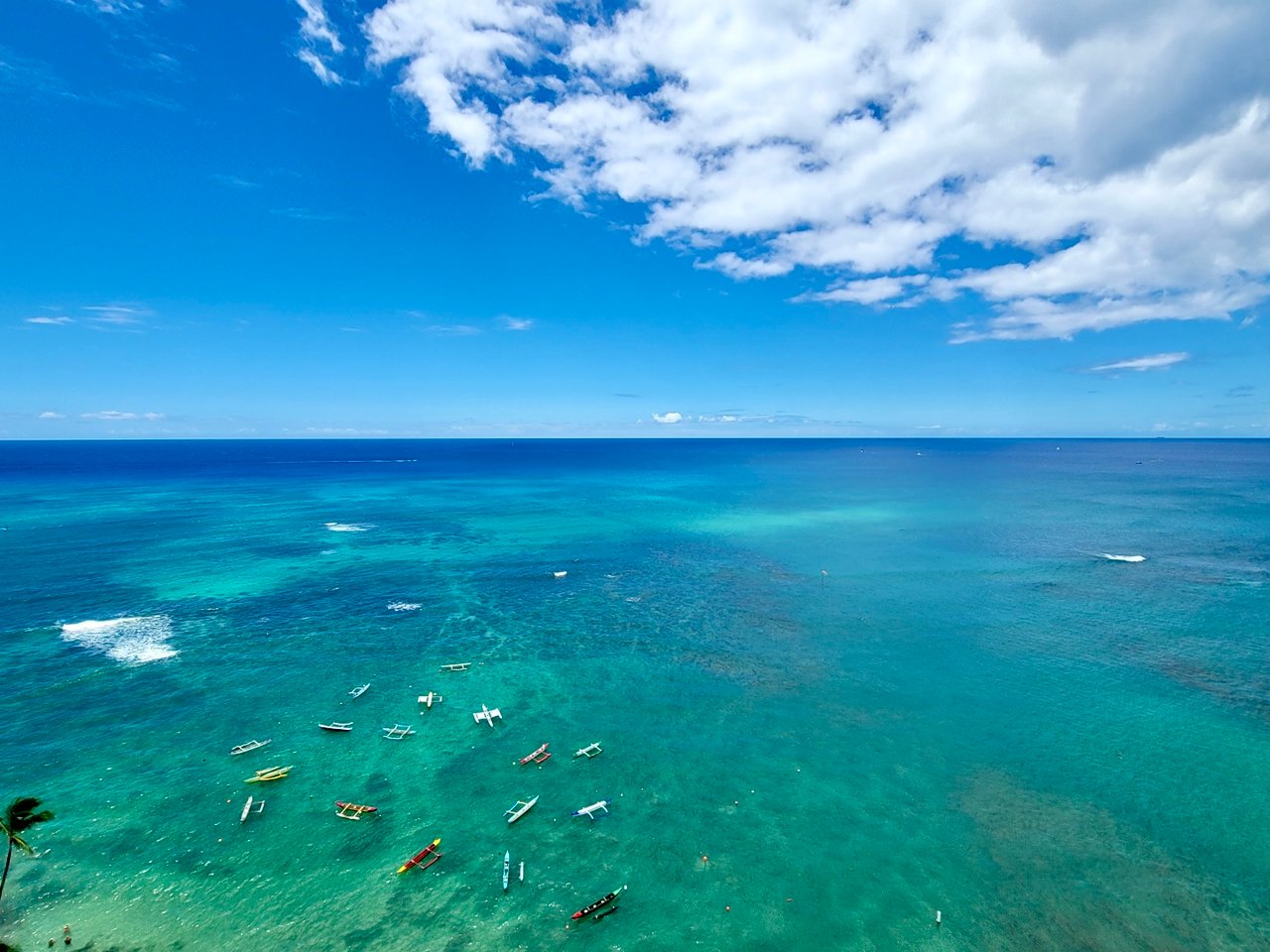 Colony Surf – Gold Coast Honolulu