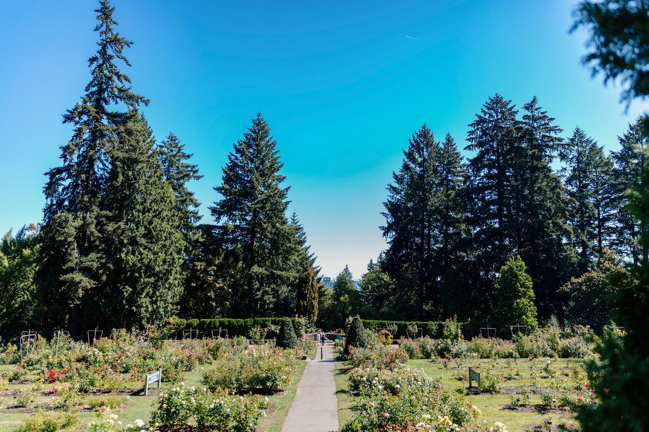 Portland