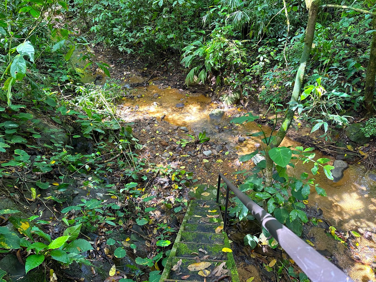 FIRE SALE! Jungle, Rivers, a Waterfall and Panoramic Ocean View