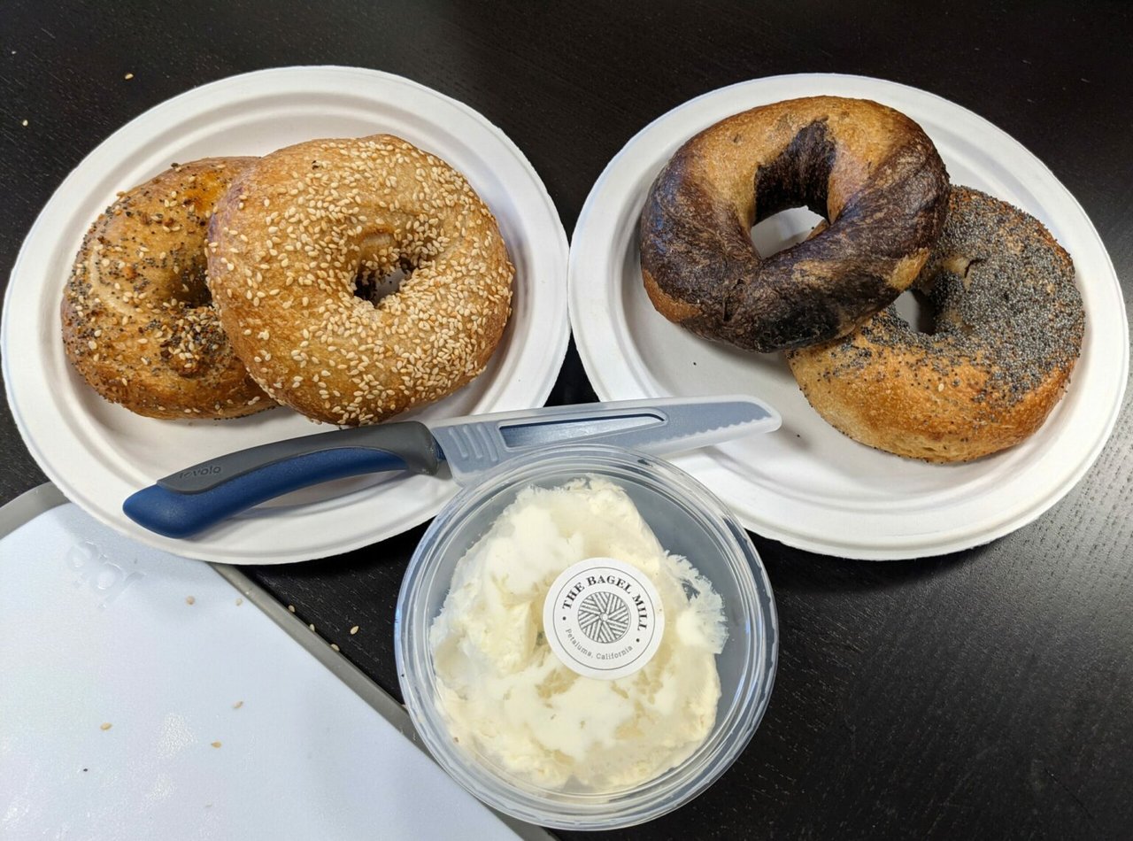 Where to Get the Best Bagels in Sonoma County