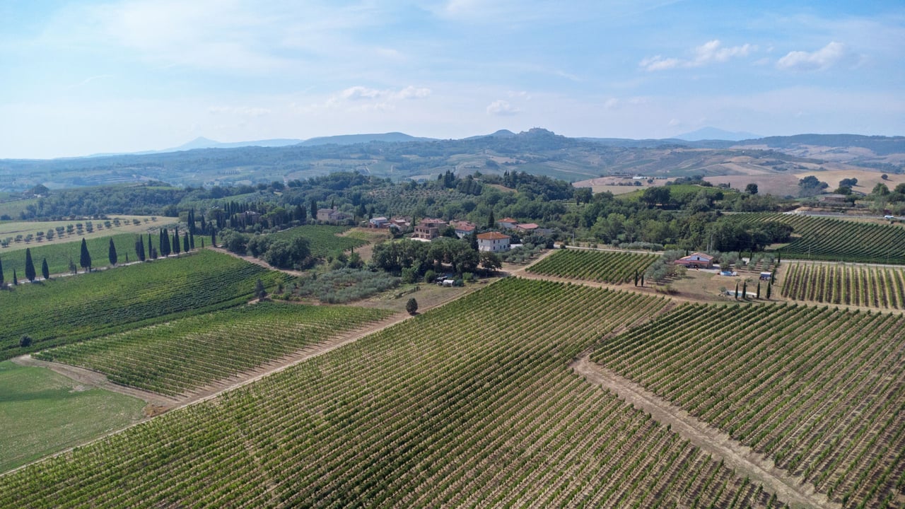 AZIENDA VITIVINICOLA ASCIANELLO