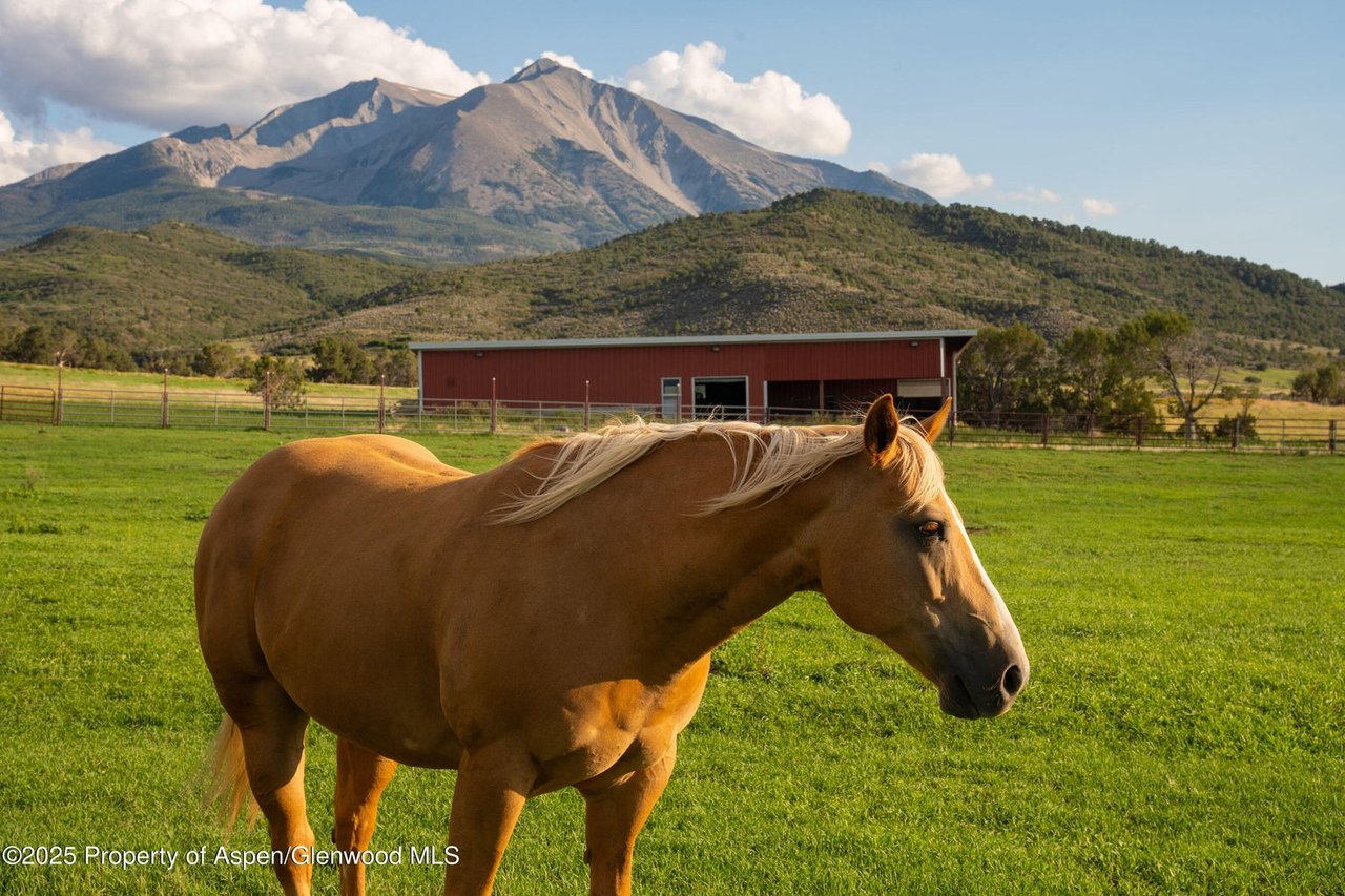 1644 Prince Creek Road