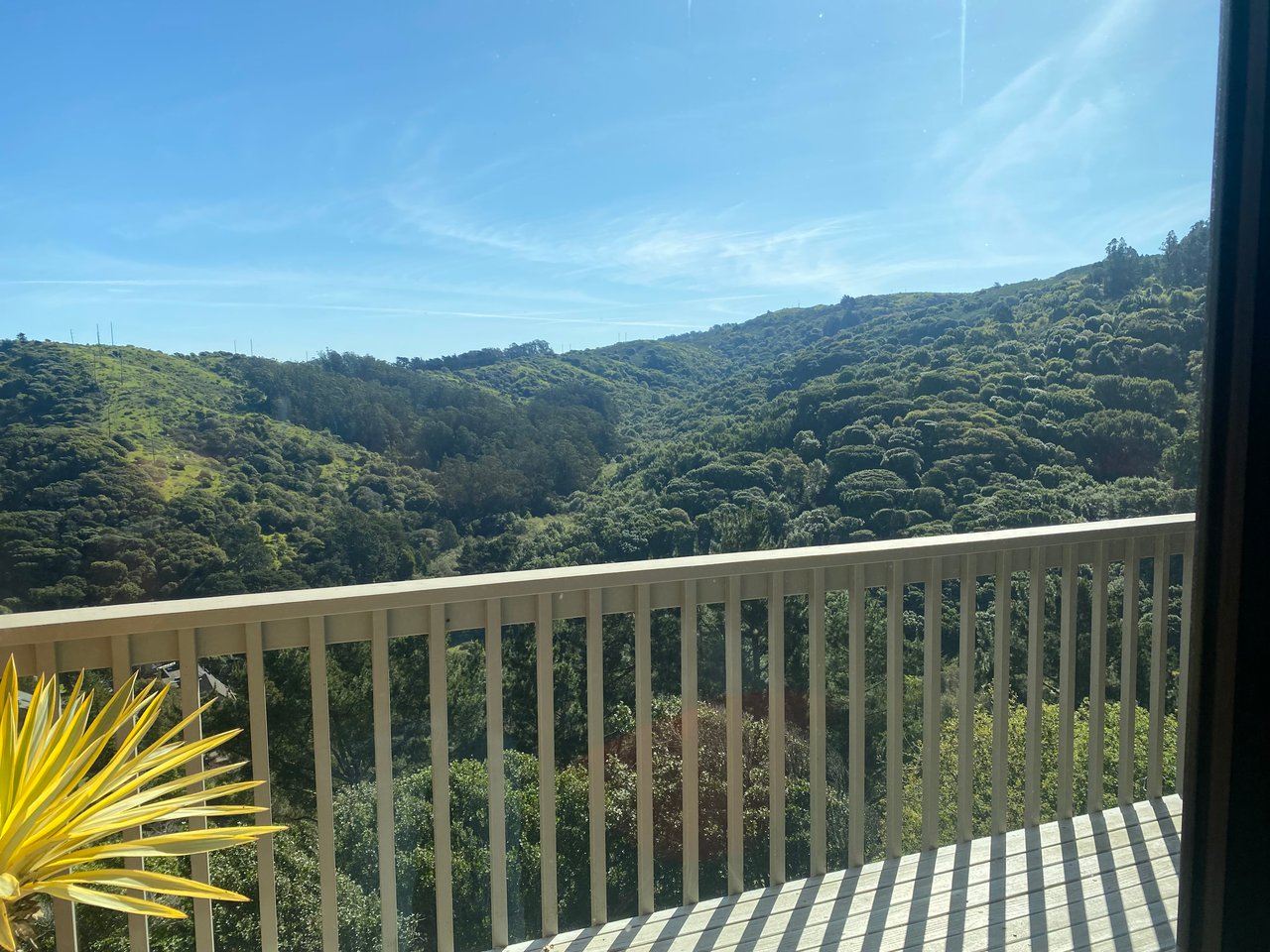 315 Via Recodo, Mill Valley *Represented Seller* Sold Off-Market