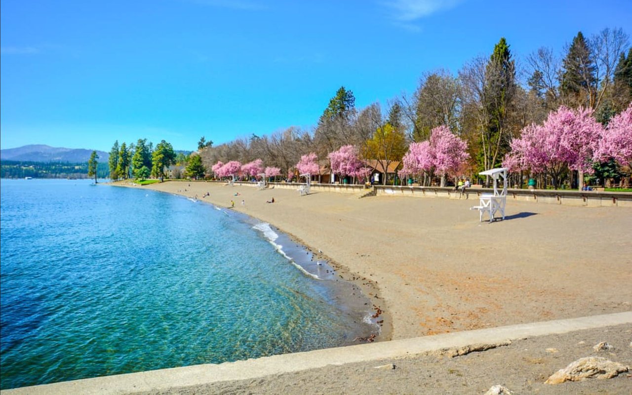Exploring North Idaho’s Best Neighborhoods: Fun Guide from Territory Real Estate cover