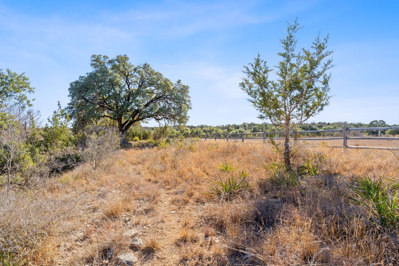 100 Dario Dr. Dripping Springs  Tx 78620