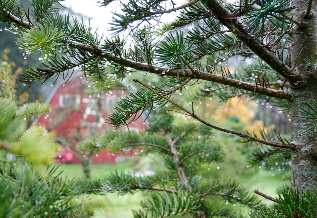 Holiday Along The Farm Trails