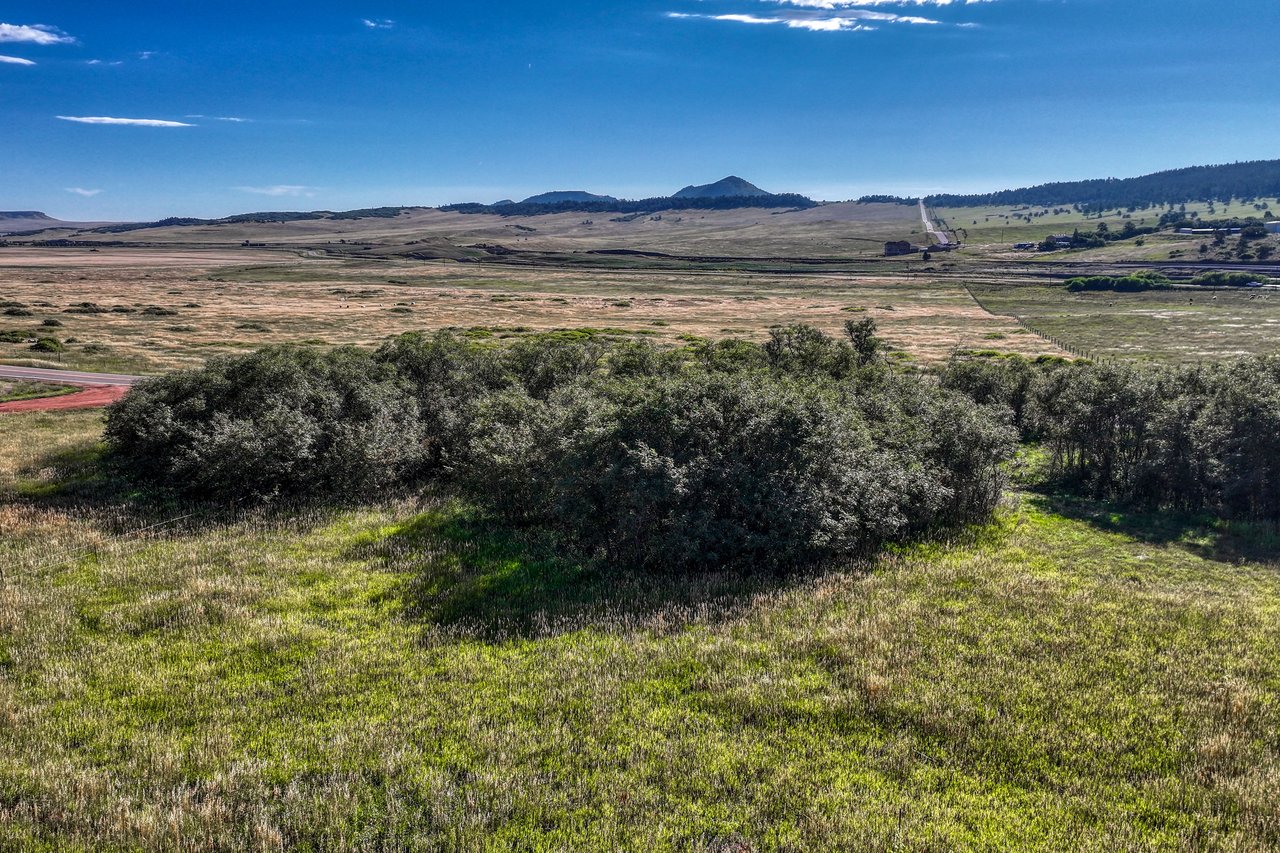 15989 S Perry Park Road