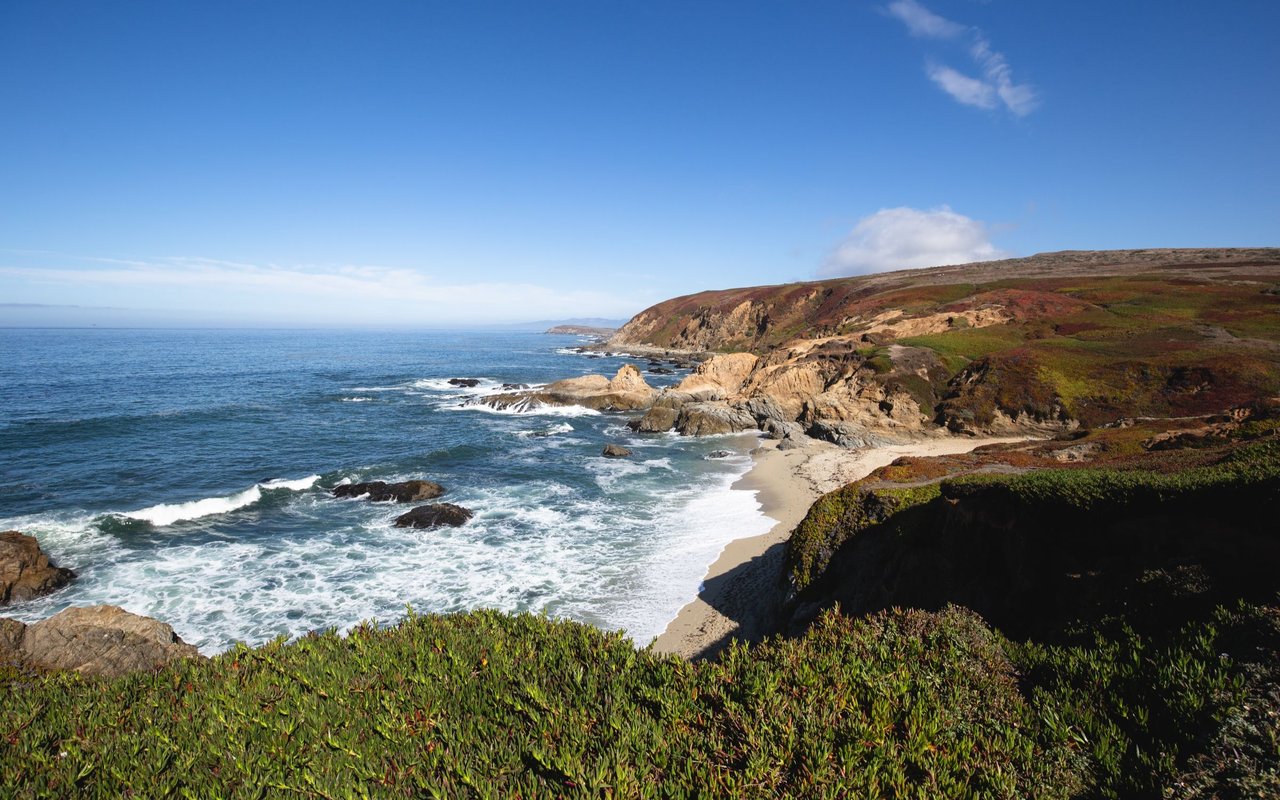 Bodega Bay