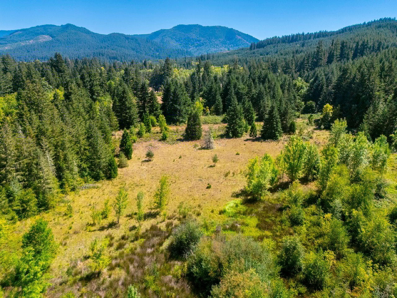 Coast Fork Woodland Meadows
