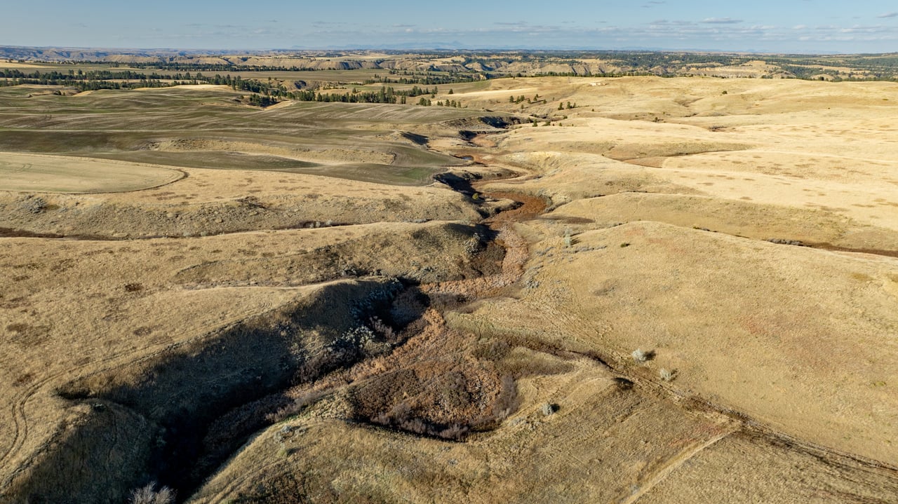 Salt Creek Ranch