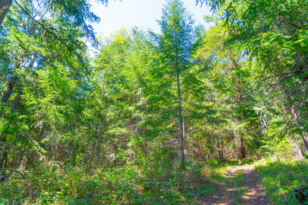 SUTHERLIN HEIGHTS