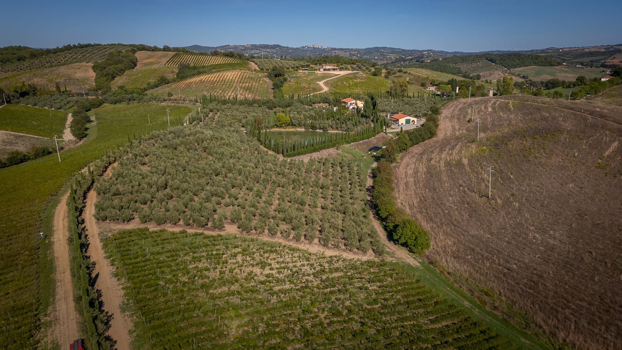 IL LEONE DEL FIORA