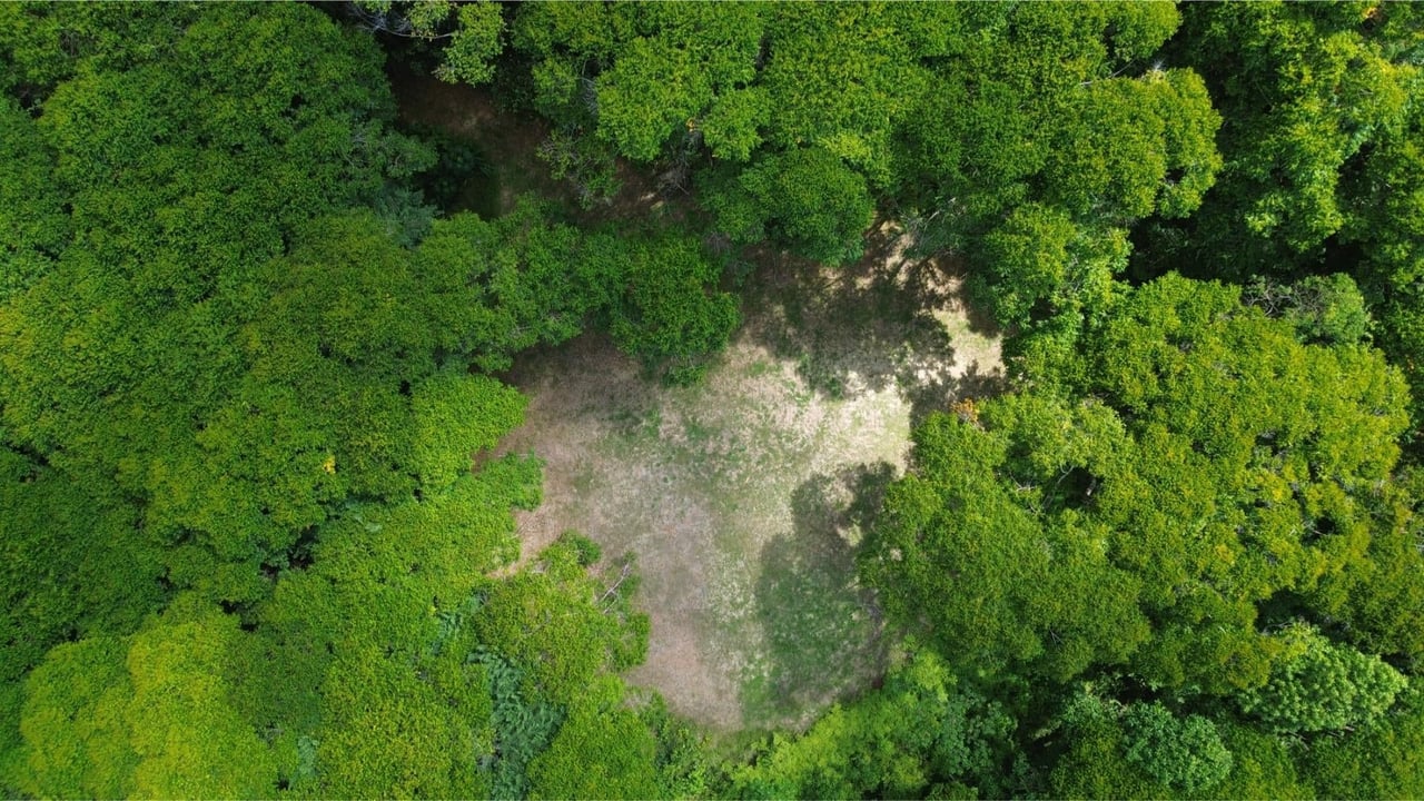 Private Jungle Building Site, Dominical, Puntarenas