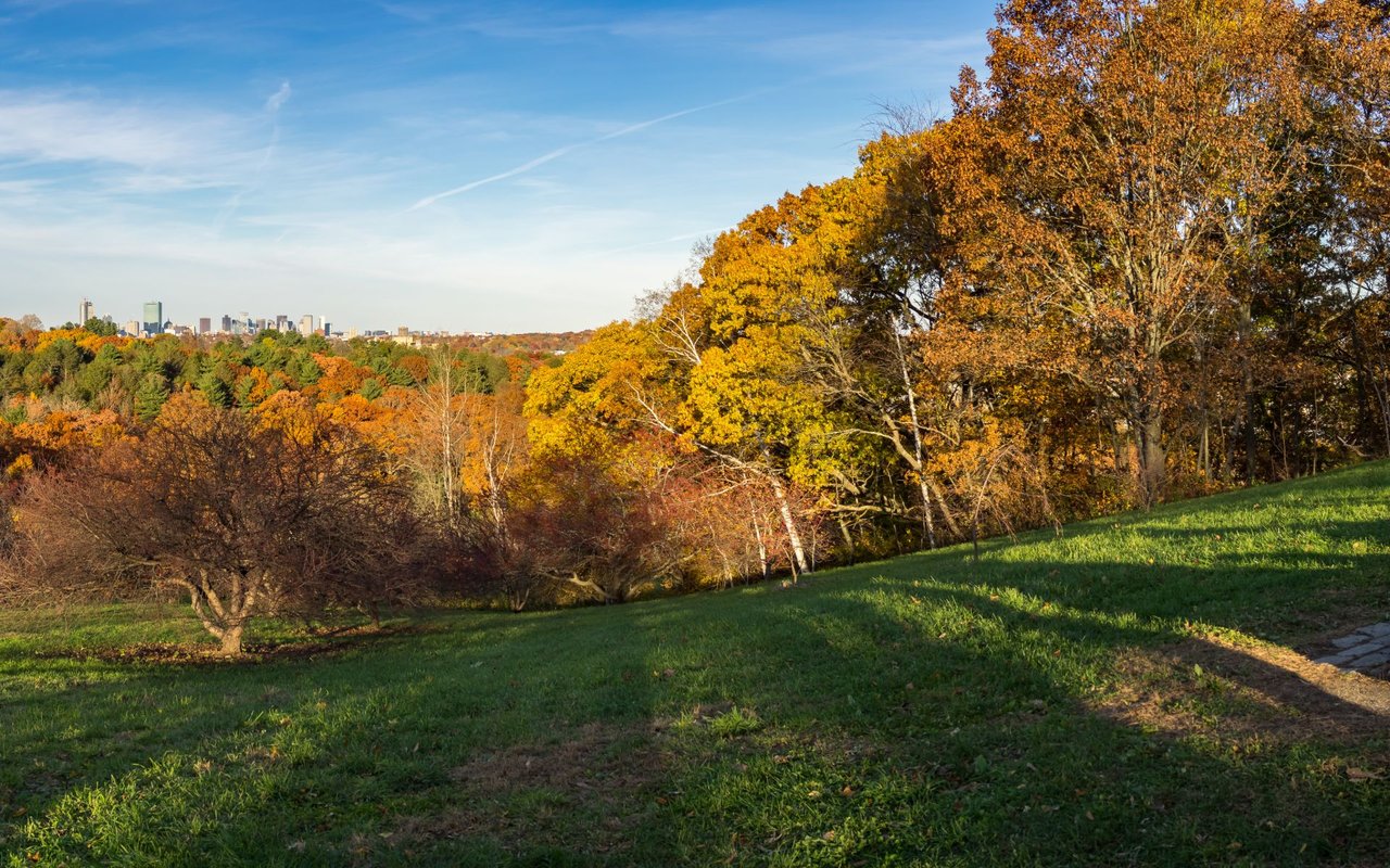 Jamaica Plain