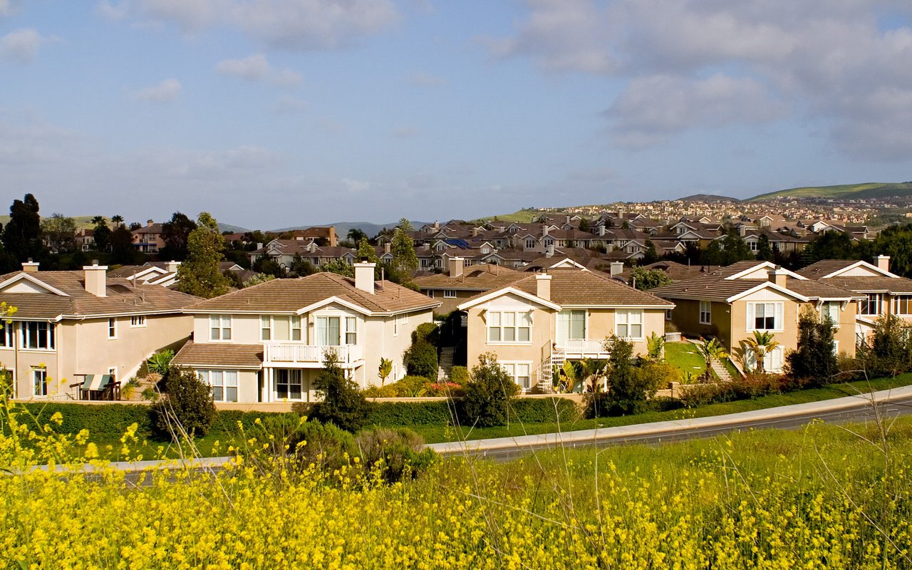 Hillside homes stepping up the slopes of University Hills in Irvine, with spring mustard in bloom