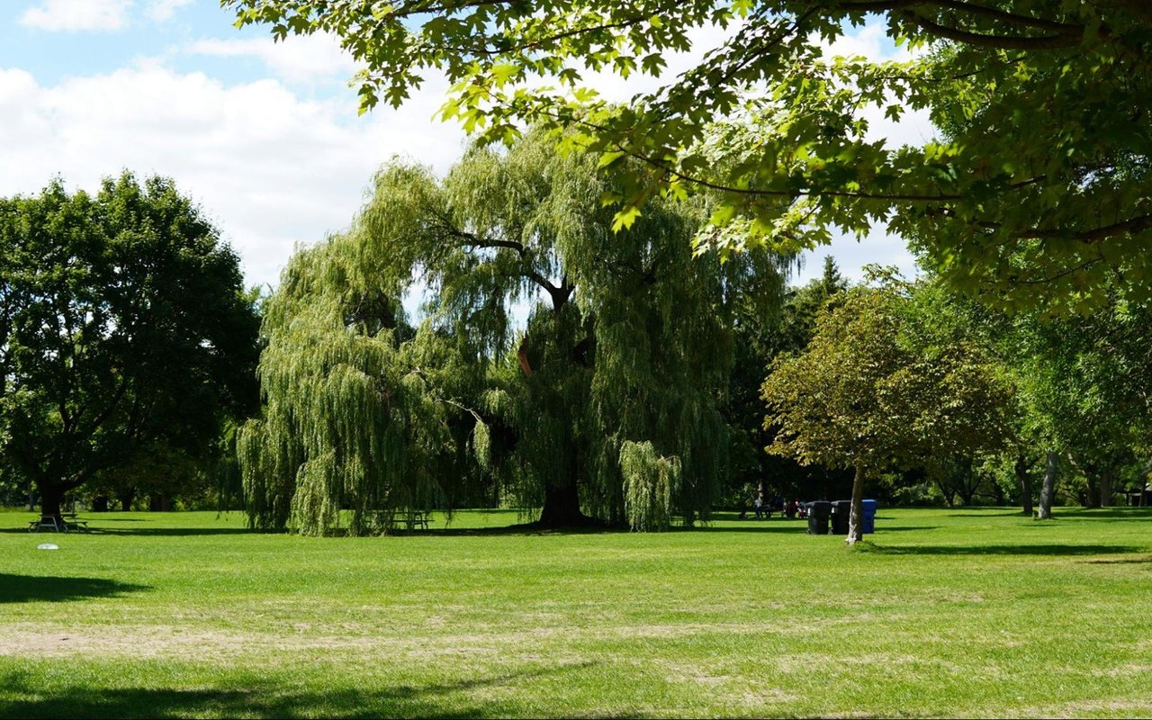 The Best Parks and Nature Spots in Lake Charles