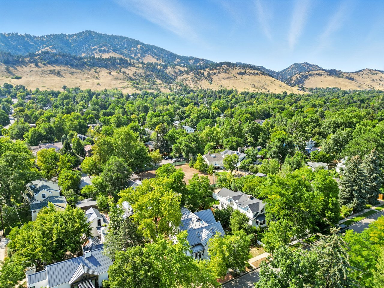 Tree Lined Streets Newlands Neighborhood