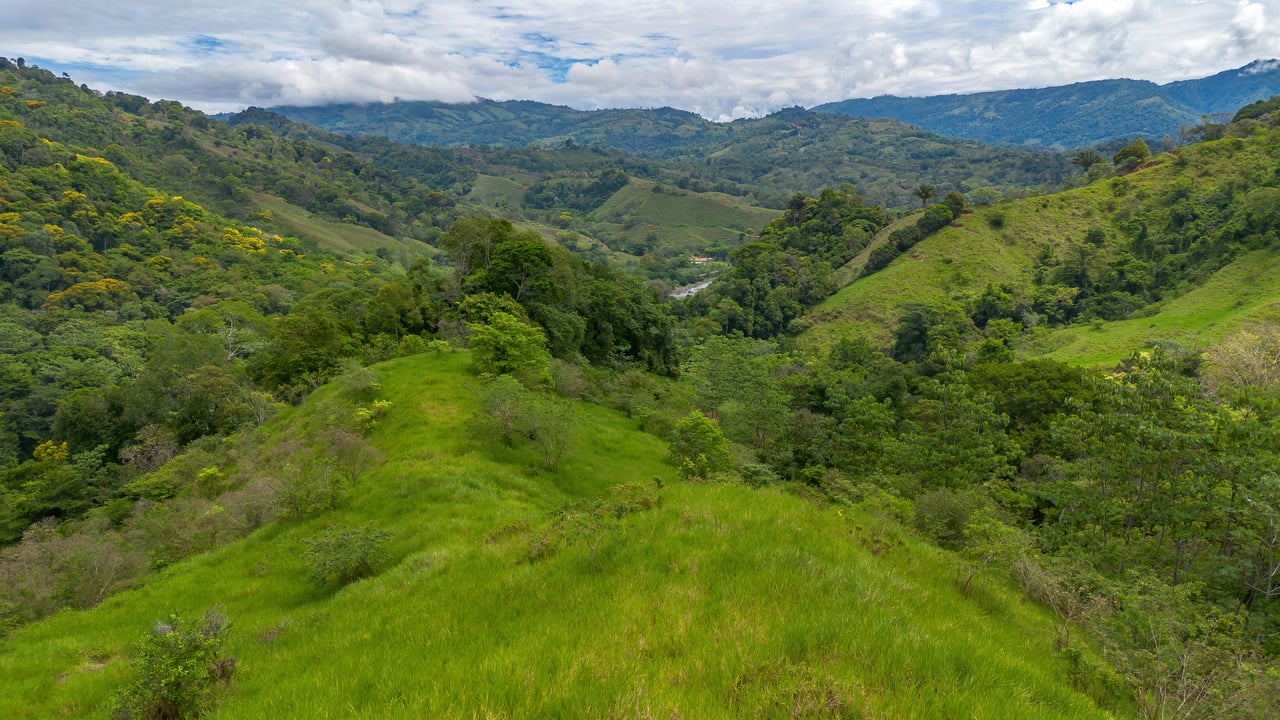 60 Hectares in Platanillo 