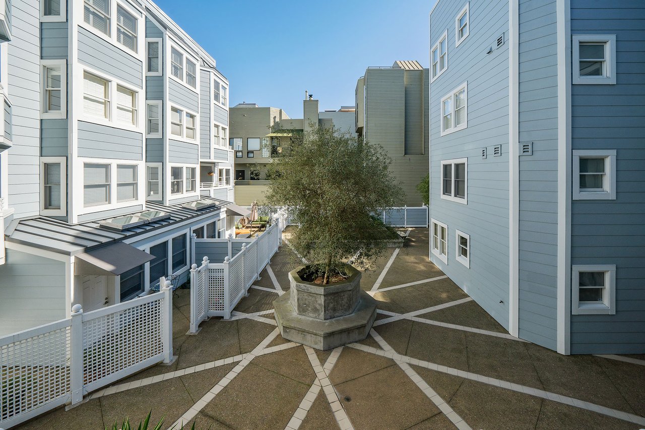 Modern Living in Lower Pacific Heights