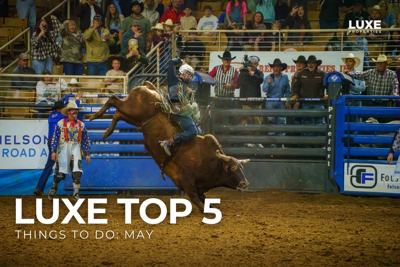 Orlando Top 5: Things to Do In May