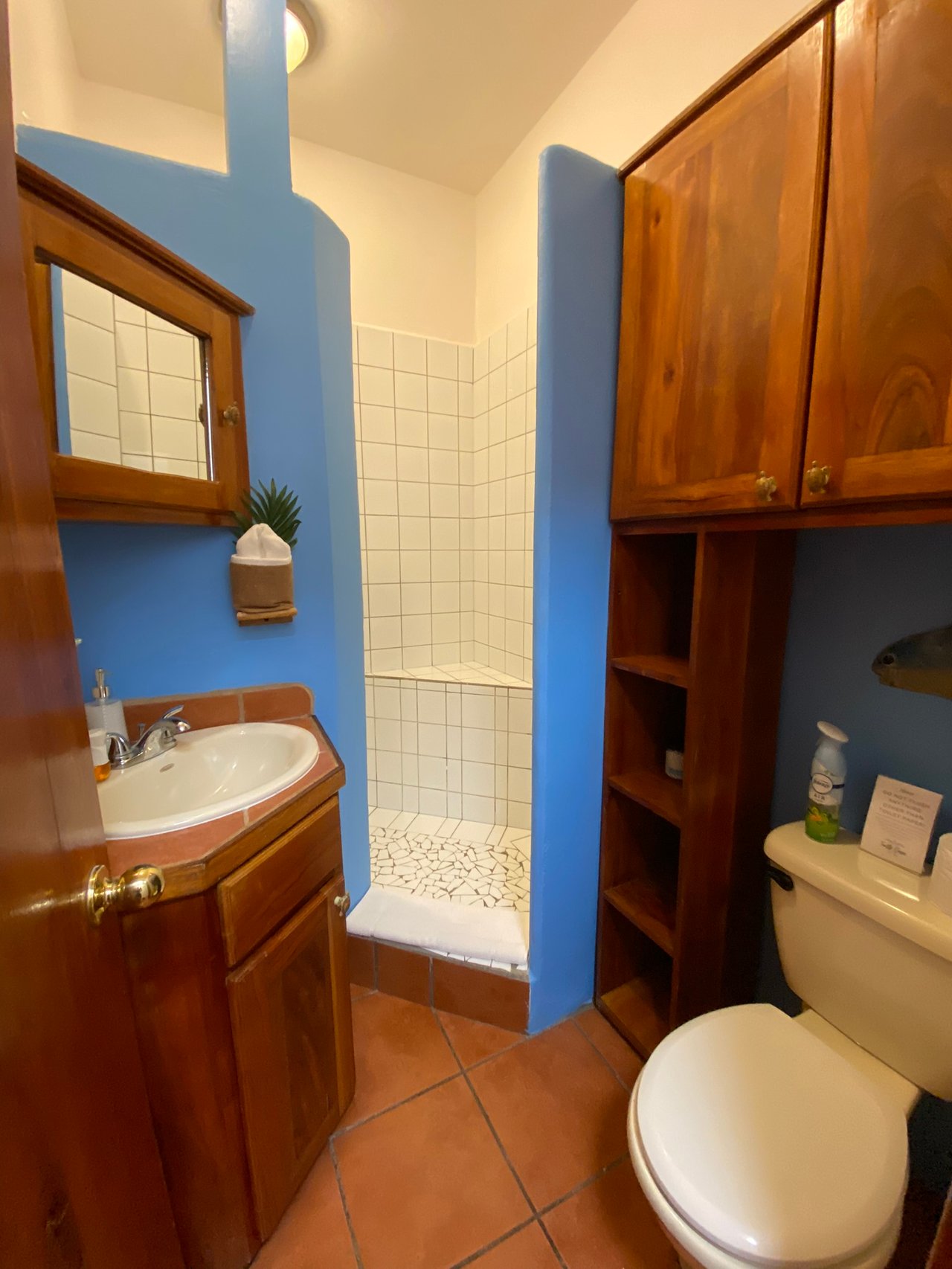 Turtle Casa Beachfront Vacation Villa