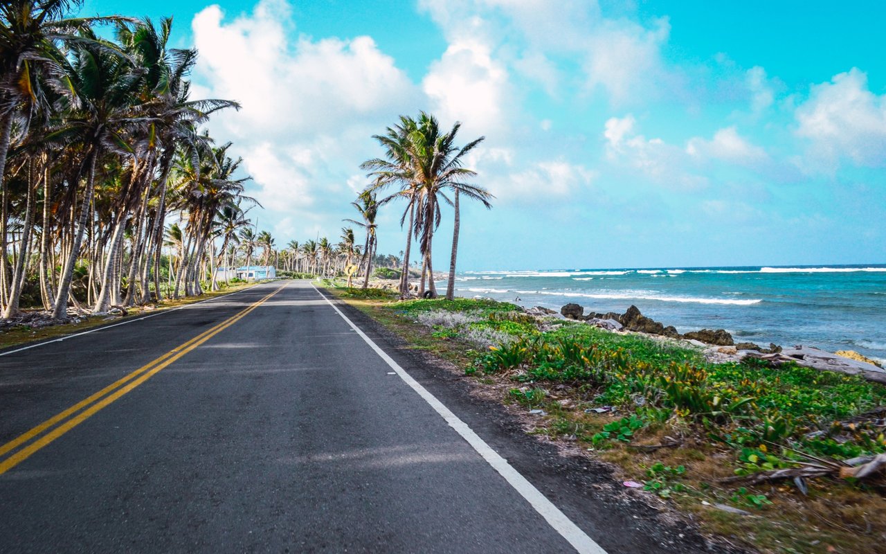 Coastal road lined with palm trees beside a rocky shoreline and ocean.