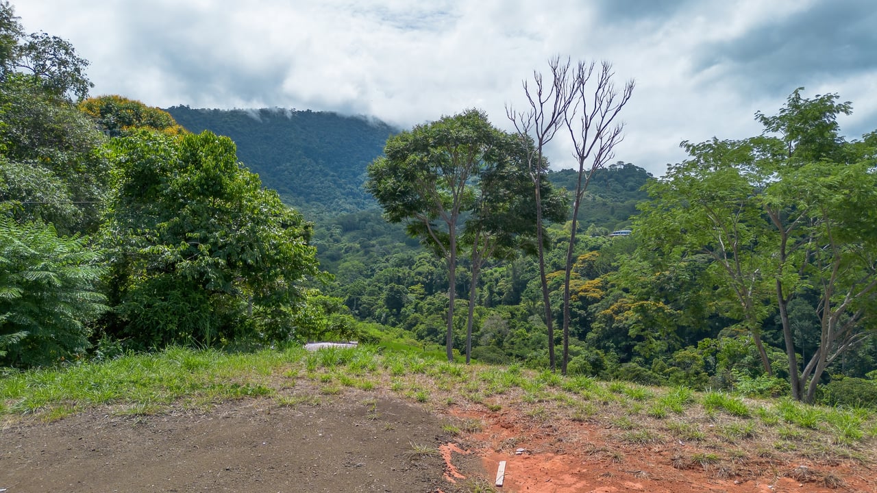  Luxury Ocean View Lot in Piñuelas - Premier Building Site 